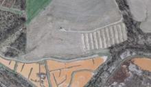 Monastery Run Improvement Project - Wetland #1