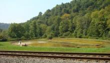watershed