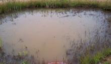 watershed