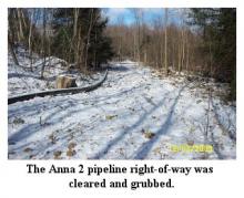 Anna 2 row 0